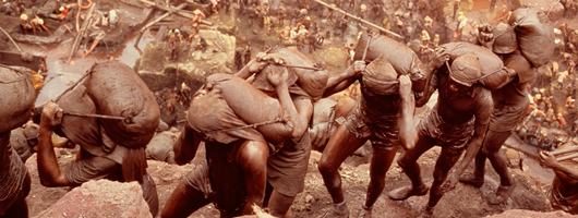 TRANSFER EXERCICES: 9915 COLLECTIONS